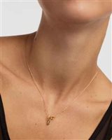 Collana PDPaola Donna COLOR in Argento CO01-845-U - CO01-845-U